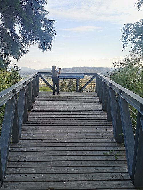 Bayerwald Feriendorf